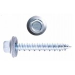 Paslanmaz Çatı vidası-5.5 X25mm  20 Adet